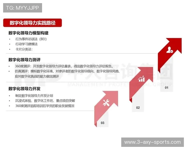 从AL到CFO角色演变探析企业战略与财务领导力转型