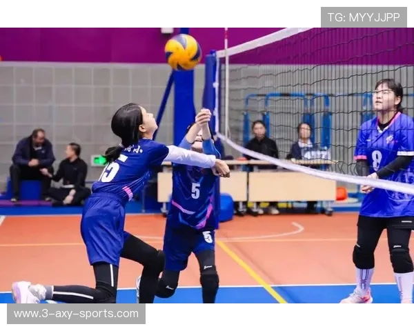 排球节奏排行榜揭晓北京排球队荣获第二名佳绩