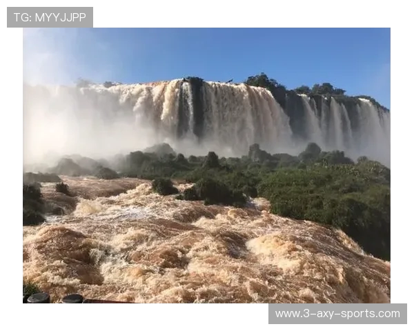 圣马丁与阿里萨利马的激烈对决揭示足球战术与团队精神的较量